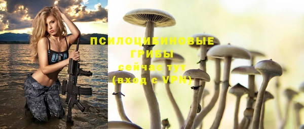 дживик Алексеевка