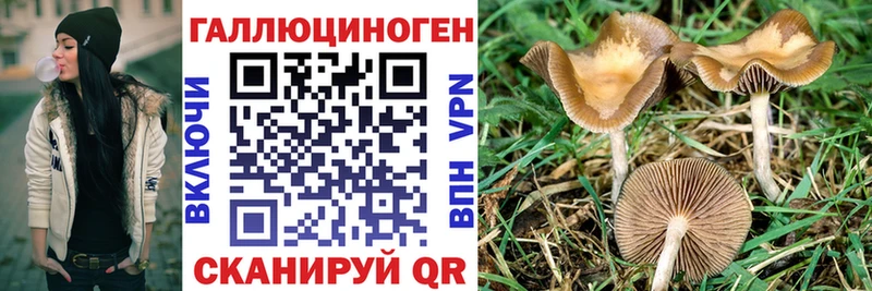 Псилоцибиновые грибы Psilocybine cubensis  Купить закладки  Калининград 